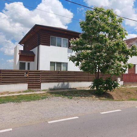 Vila Onix Săcueni Εξωτερικό φωτογραφία