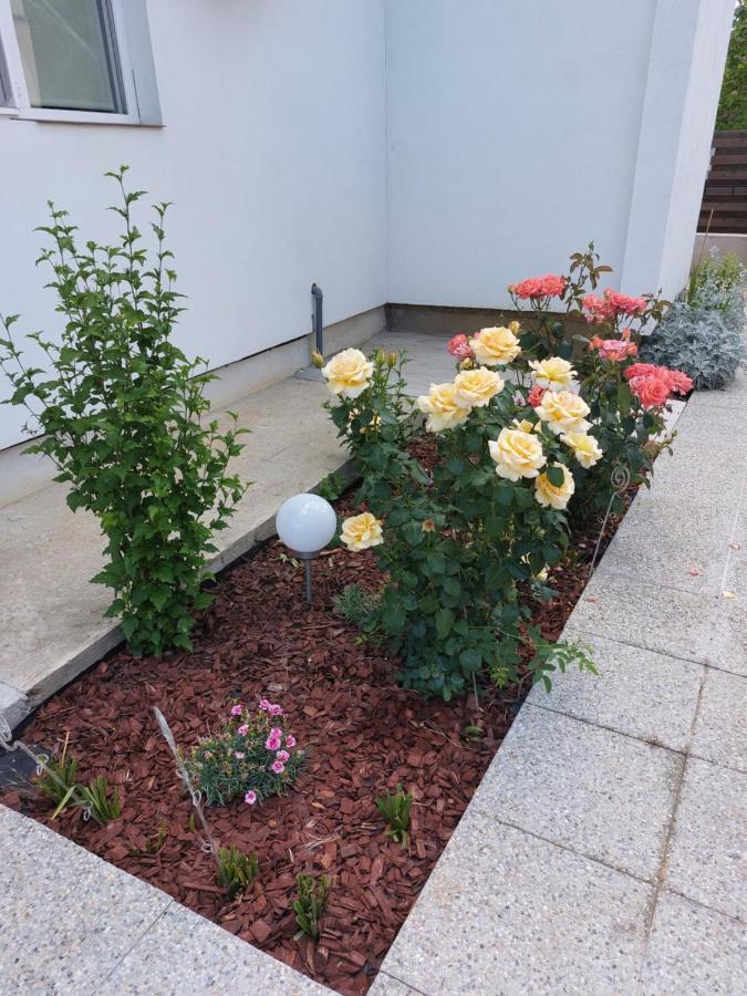 Vila Onix Săcueni Εξωτερικό φωτογραφία