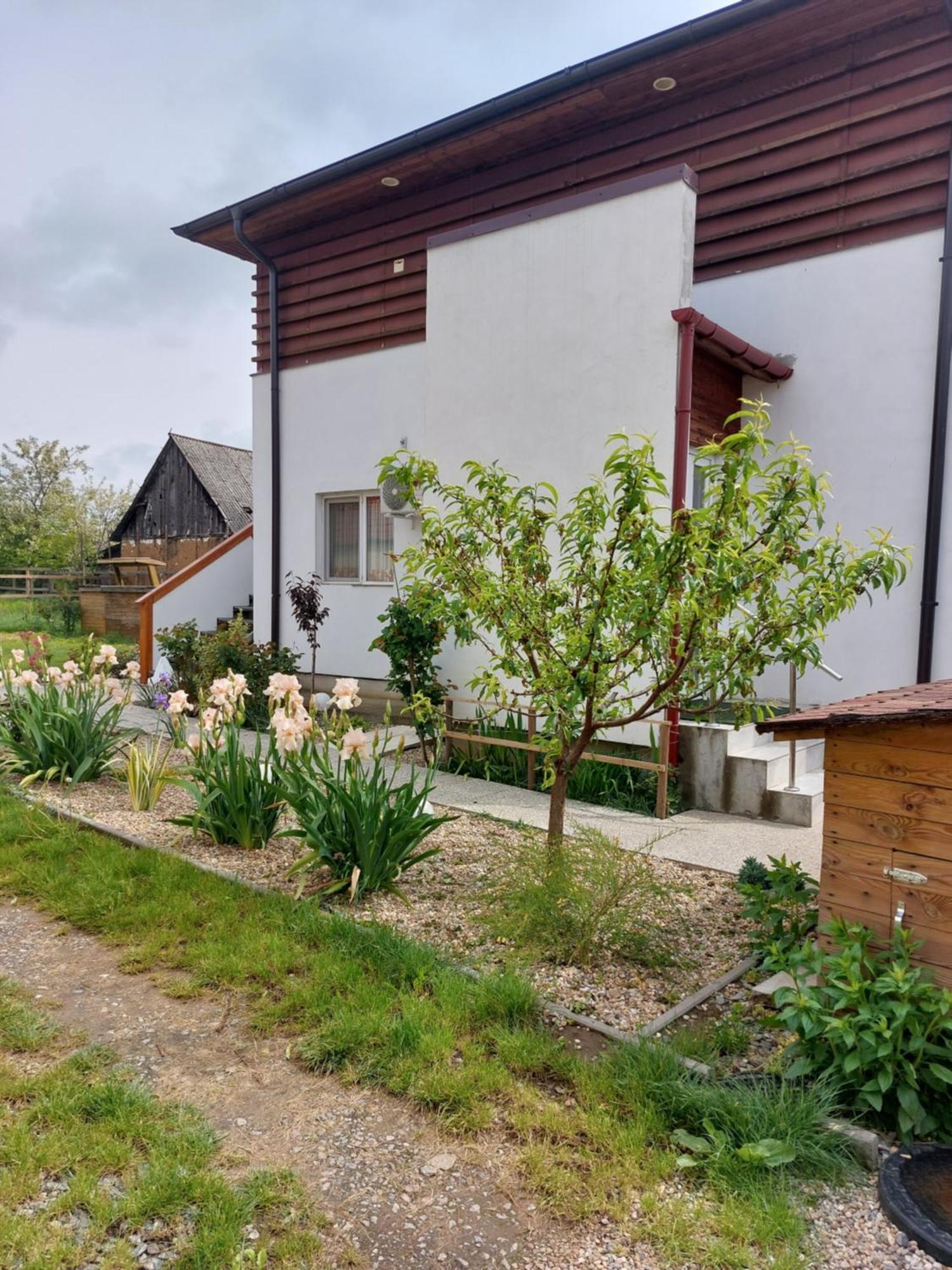Vila Onix Săcueni Εξωτερικό φωτογραφία